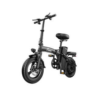 LookRun T11 Folding Electric Bike