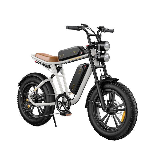 M20 Motorcycle-styled Electric Bike