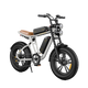M20 Motorcycle-styled Electric Bike