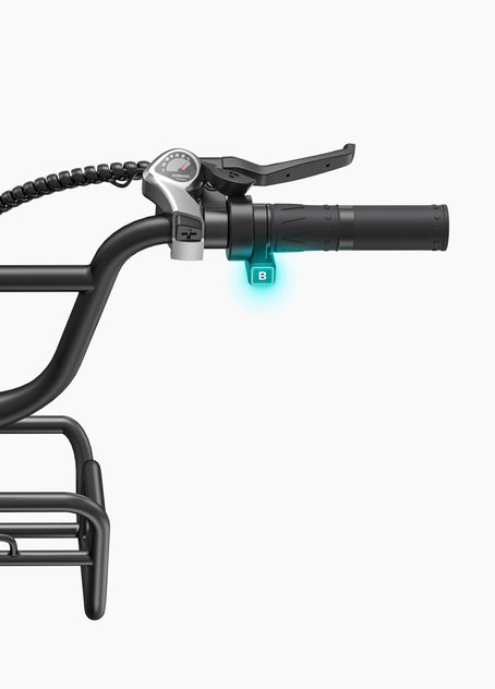 Bicicleta eléctrica L20 Boost Step-Thru
