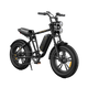 M20 Motorcycle-styled Electric Bike