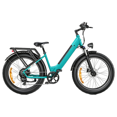 E26 Electric Electric Bike